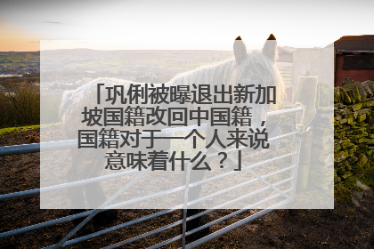 巩俐被曝退出新加坡国籍改回中国籍,国籍对于一个人来说意味着什么?