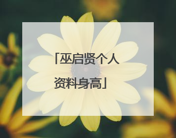 巫启贤个人资料身高