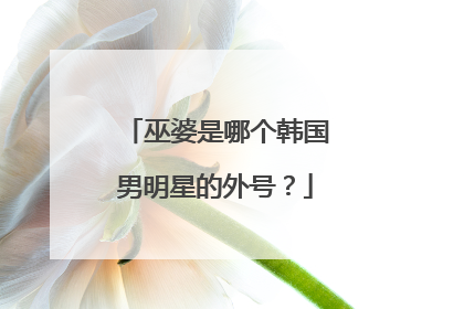 巫婆是哪个韩国男明星的外号？