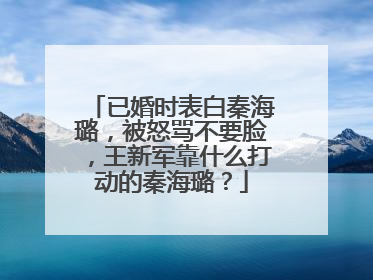 已婚时表白秦海璐,被怒骂不要脸,王新军靠什么打动的秦海璐?
