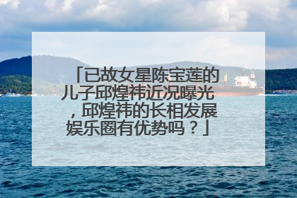 已故女星陈宝莲的儿子邱煌祎近况曝光，邱煌祎的长相发展娱乐圈有优势吗？