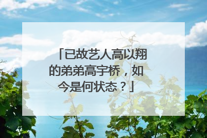 已故艺人高以翔的弟弟高宇桥,如今是何状态?