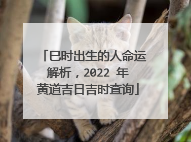 巳时出生的人命运解析，2022 年黄道吉日吉时查询