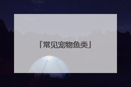 常见宠物鱼类