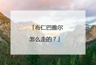 布仁巴雅尔怎么走的?