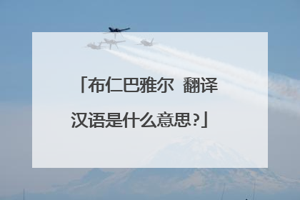 布仁巴雅尔 翻译汉语是什么意思?