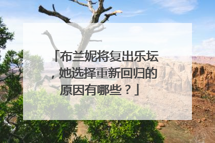 布兰妮将复出乐坛,她选择重新回归的原因有哪些?