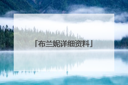 布兰妮详细资料