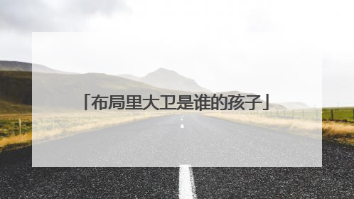 布局里大卫是谁的孩子