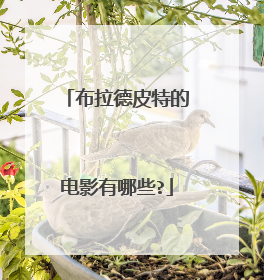 布拉德皮特的电影有哪些?