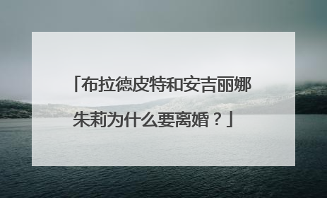 布拉德皮特和安吉丽娜朱莉为什么要离婚？