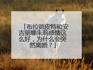 布拉德皮特和安吉丽娜朱莉感情这么好,为什么会突然离婚?