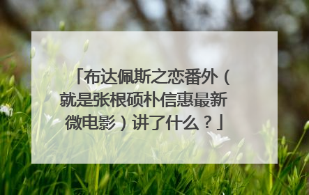 布达佩斯之恋番外（就是张根硕朴信惠最新微电影）讲了什么？