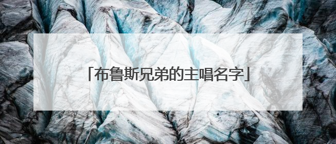 布鲁斯兄弟的主唱名字