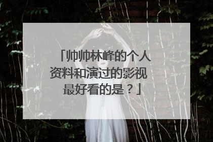 帅帅林峰的个人资料和演过的影视 最好看的是？