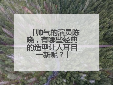 帅气的演员陈晓，有哪些经典的造型让人耳目一新呢？
