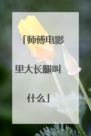 师傅电影里大长腿叫什么