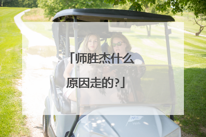 师胜杰什么原因走的?