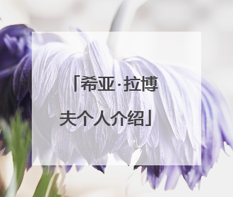 希亚·拉博夫个人介绍