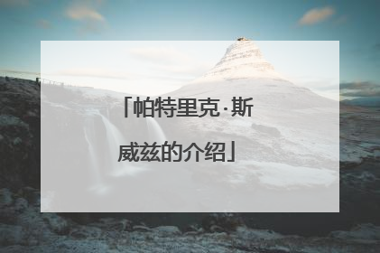 帕特里克·斯威兹的介绍