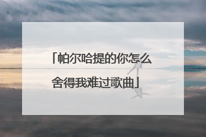 帕尔哈提的你怎么舍得我难过歌曲