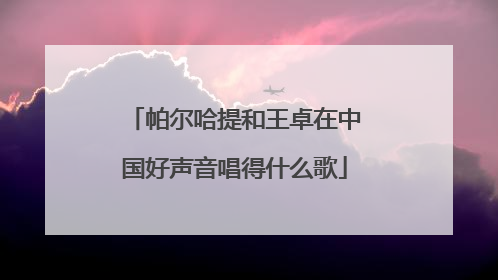 帕尔哈提和王卓在中国好声音唱得什么歌