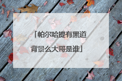 帕尔哈提有黑道背景么大哥是谁