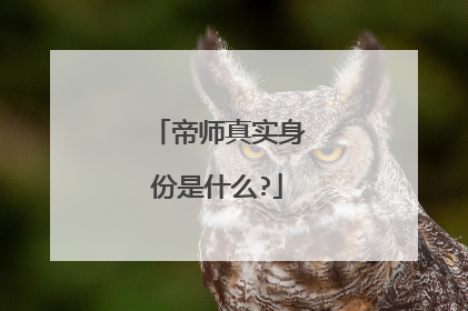 帝师真实身份是什么?