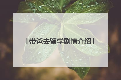 带爸去留学剧情介绍
