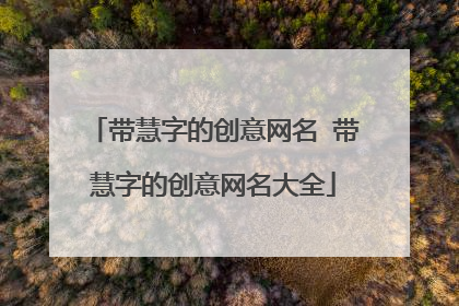 带慧字的创意网名 带慧字的创意网名大全