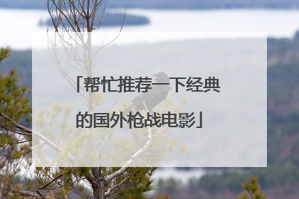 帮忙推荐一下经典的国外枪战电影