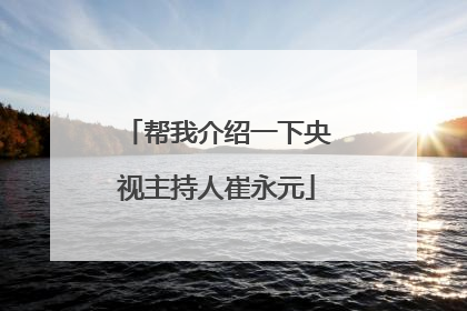 帮我介绍一下央视主持人崔永元