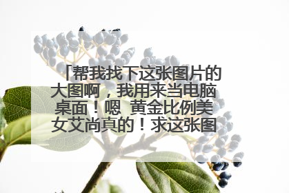 帮我找下这张图片的大图啊,我用来当电脑桌面!嗯 黄金比例美女艾尚真的!求这张图的电脑桌面!