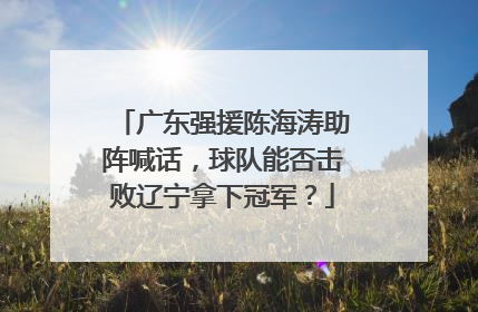 广东强援陈海涛助阵喊话,球队能否击败辽宁拿下冠军?