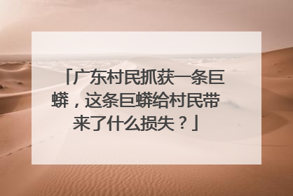 广东村民抓获一条巨蟒,这条巨蟒给村民带来了什么损失?