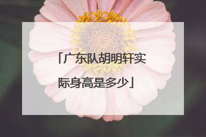 广东队胡明轩实际身高是多少