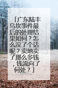 广东陆丰乌坎事件最后的处理结果如何?怎么没了个话呢?卖地卖了那么多钱,钱流向了何处?