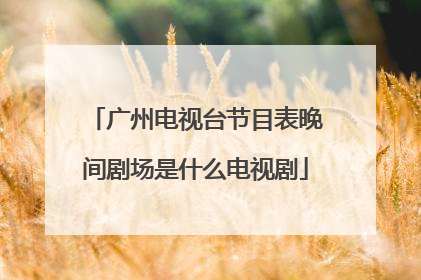 广州电视台节目表晚间剧场是什么电视剧