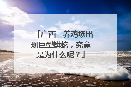 广西一养鸡场出现巨型蟒蛇，究竟是为什么呢？