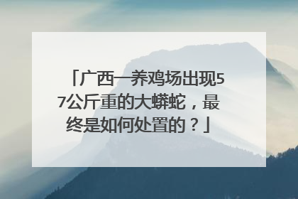 广西一养鸡场出现57公斤重的大蟒蛇，最终是如何处置的？