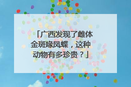 广西发现了雌体金斑喙凤蝶,这种动物有多珍贵?