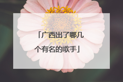 广西出了哪几个有名的歌手