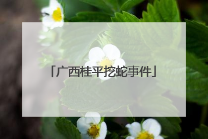 广西桂平挖蛇事件