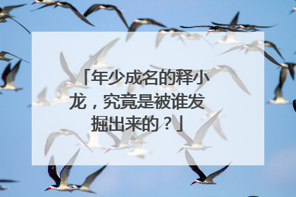 年少成名的释小龙,究竟是被谁发掘出来的?