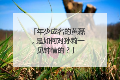 年少成名的黄磊,是如何对孙莉一见钟情的?