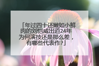 年过四十还嫩如小鲜肉的刘恺威出道24年为何演技还是那么差，有哪些代表作?