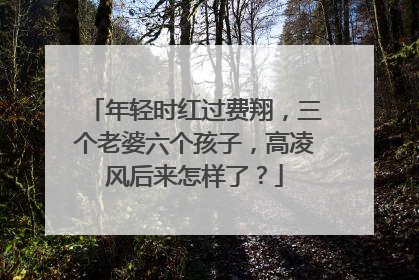 年轻时红过费翔，三个老婆六个孩子，高凌风后来怎样了？