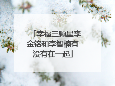 幸福三颗星李金铭和李智楠有没有在一起
