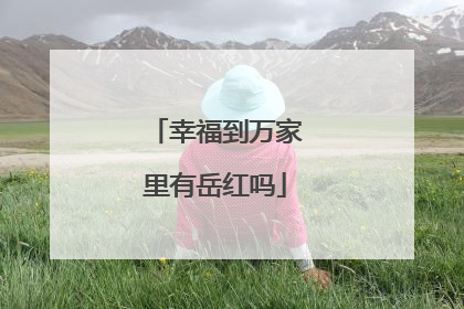幸福到万家里有岳红吗