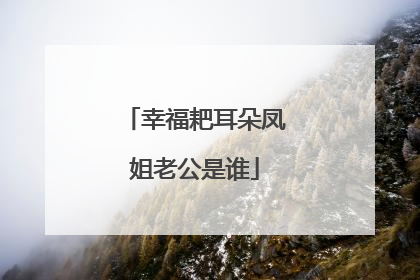 幸福耙耳朵凤姐老公是谁